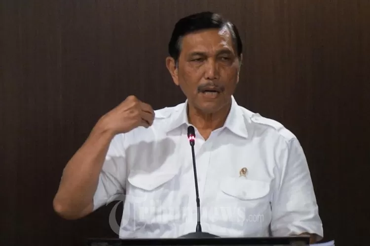 Luhut Binsar Pandjaitan Bantah Terlibat dengan Toba Pulp Lestari.