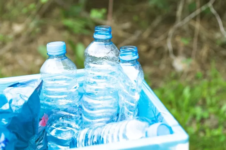 Botol Bekas Aqua Bisa Dibuat Apa Yuk Bikin Diy Pot Gantung Dari Botol Bekas Solusi Bercocok 3138