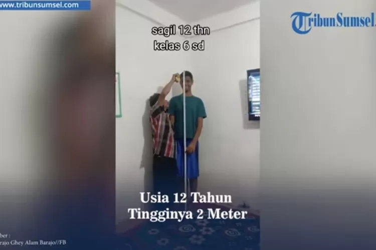 Sagil bocah tertingggi dk usia 12 tahun di Kerinci.