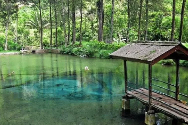 Blitar, Wisata Alam dengan keindahan alam dan keseruannya yang tak terlupakan  (Pinterst )