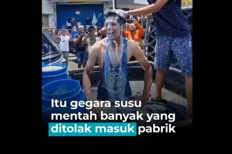 Fufufafa Rajin Bagi-bagi Susu Kotak UHT, Peternak Lokal Justru Demo Mandi Susu Gegara Kebijakan Impor (kumparan)