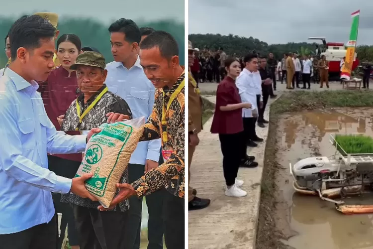 Wakil Presiden Republik Indonesia Gibran Rakabuming Raka dan istrinya, Selvi Ananda, bersama Menteri Pertanian Andi Amran Sulaiman blusukan ke Langkat, Sumatera Utara. (Instagram/@gibran_rakabuming)