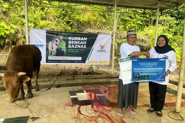 PNM dan BAZNAS Antar Kurban dari Donasi Karyawan hingga ke Ujung Negeri