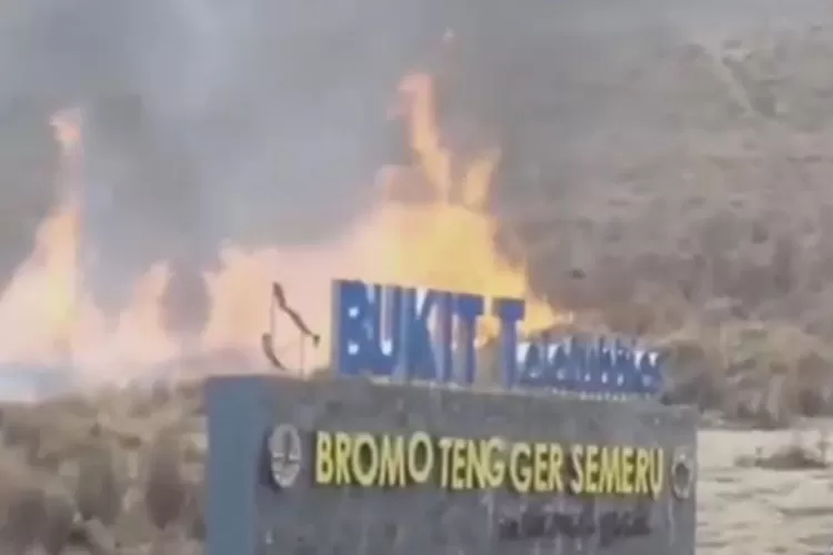 Bukit Teletubbies Di Bromo Kebakaran, Imbas Foto Prewedding Menggunakan ...