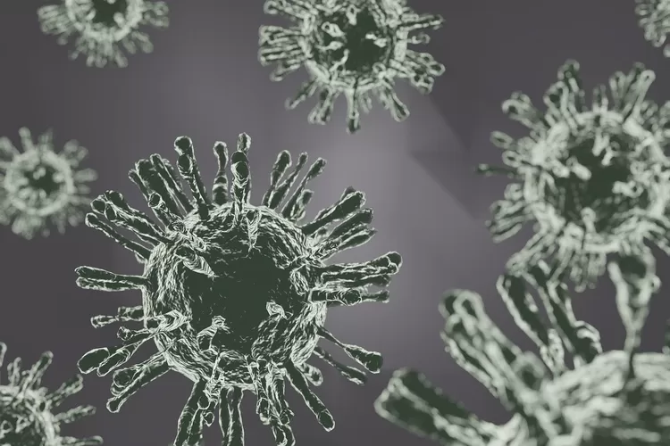 Ilustrasi virus  pneumonia ganda yang sebabkan Paus Fransiskus wafat (Sumber: Pixabay)