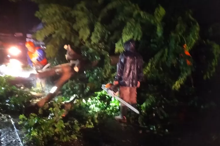 TANAH LONGSOR: Petugas BPBD Semarang menutup tanah longsor di daerah Kelurahan Tandang dengan terpal untuk menahan air hujan agar tidak menggerus tanah tersebut, Selasa 2 Januari 2024 (suaramerdeka.com/dok)