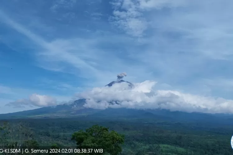 Gunung Semeru Kembali Erupsi 2 Kali Pagi Ini, Muntahkan Abu Vulkanik ...