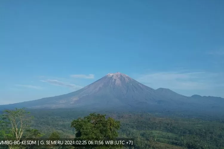 Update Aktivitas Gunung Semeru Minggu, 25 Februari 2024: Terjadi 19 ...