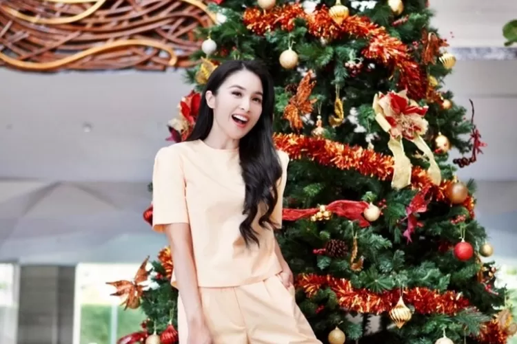 Potret Sandra Dewi Istri Harvey Moeis. (Tangkapan Layar Instagram.com/sandradewi88)