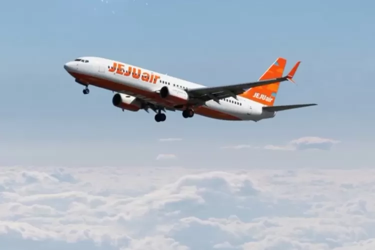 Ilustrasi pesawat Jeju Air.  (Foto tangkapan layar instagram @jejuair_official)