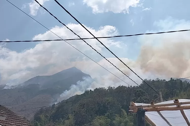 Kebakaran Hutan Gunung Merbabu, Seluruh Jalur Pendakian Ditutup - Suara ...