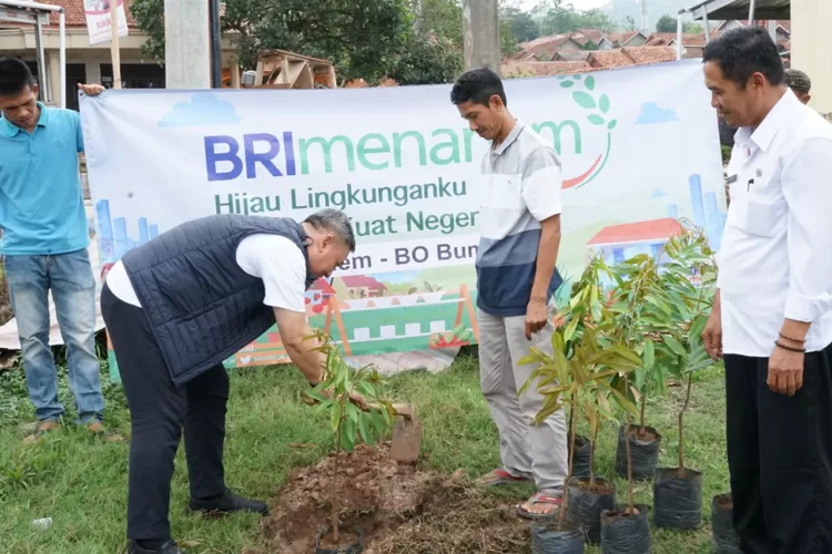 BRI Menanam, Wujud Kepedulian Kepada Alam Dan Masyarakat - Suara ...