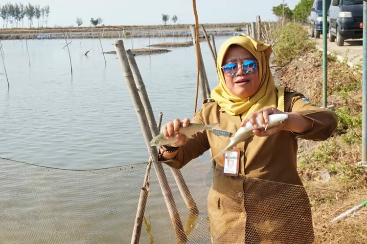 Tingkat Konsumsi Makan Ikan Di Jepara Masih Rendah Bikin Gebrakan