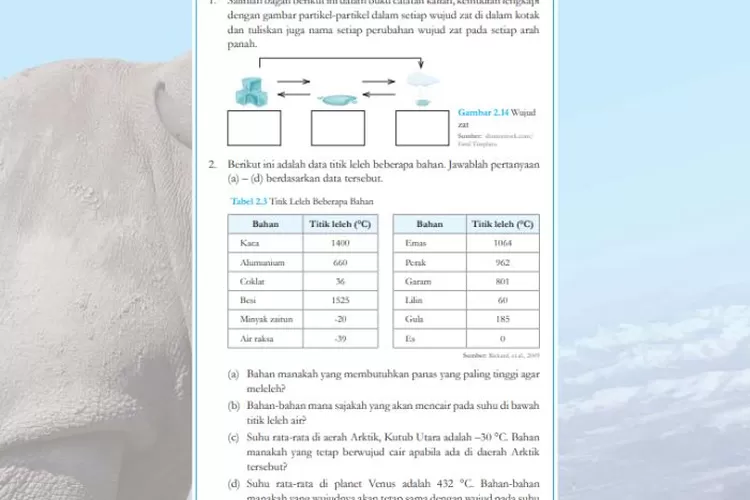 Jawaban Uji Kemampuan Ipa Kelas Halaman Kurikulum Merdeka Gurune Net Hot Sex Picture