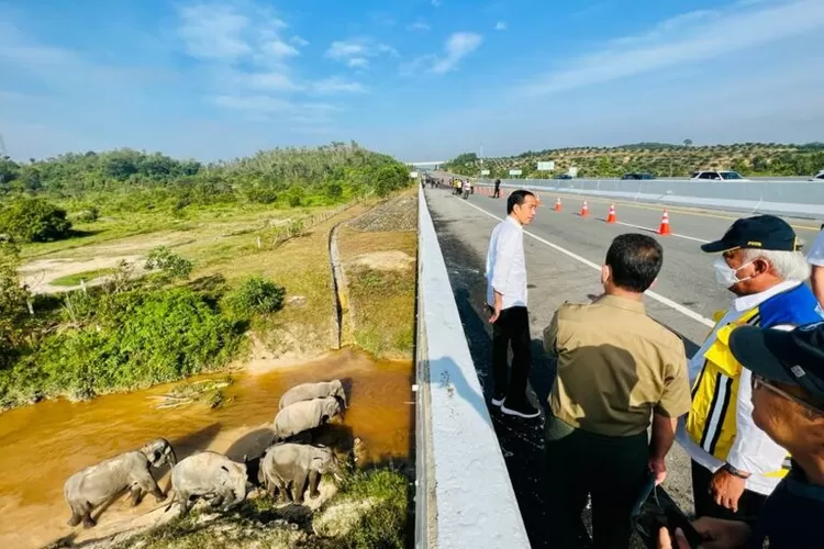 Jalan Tol Pekanbaru Dumai atau Jalan Tol Permai adalah jalan tol bagian dari Jalan Tol Trans Sumatera yang menghubungkan Pekanbaru dengan Dumai yang berada di Riau. Tol Pekanbaru Dumai ini mulai dibangun pada bulan Juli 2017 dan diresmikan penggunaannya oleh Presiden Joko Widodo