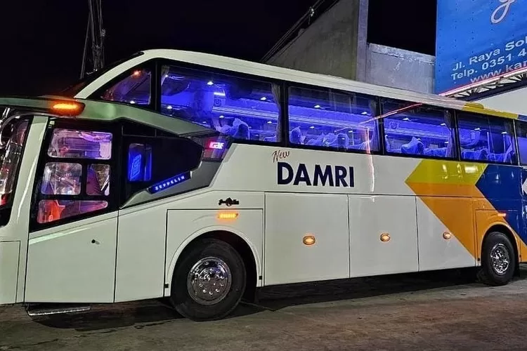 Ilustrasi Bus Damri yang melayani perjalanan dari Pontianak menuju Brunei Darussalam melalui Jalan Trans Kalimantan | iNews