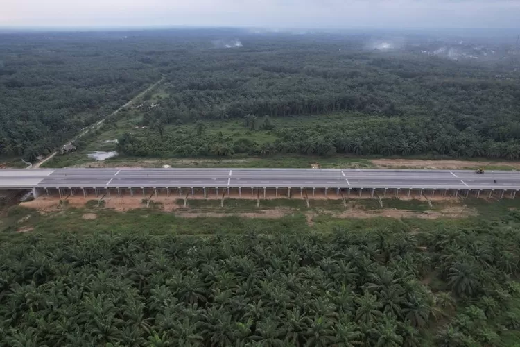Jalan Tol Trans Sumatera (JTTS) diperkirakan akan bertambah panjang sekira 965 km di pertengahan tahun 2024 mendatang (Dok: Hutama Karya) (Hutama Karya)