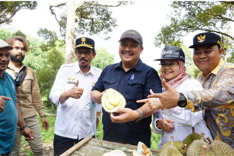 Mengenal Varietas Durian Aceh, Khususnya di Aceh Besar dan Aceh Jaya. Prihasto: Bisa Saingi Durian Luar Negeri/Web Resmi Direktoral Jenderal Hortikultura