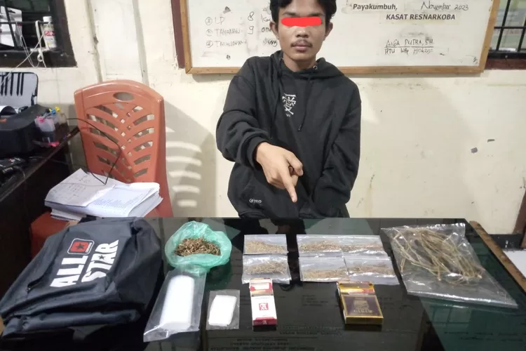 Gerebek Kos-Kosan di Payakumbuh, Polisi Tangkap Remaja Pengedar Ganja  (ist)