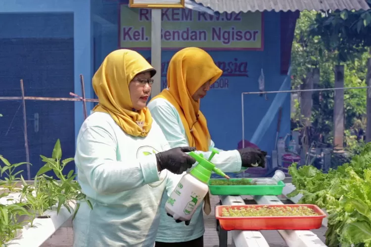 Berkat &ldquo;BRInita&rdquo;, teh herbal kini menjadi produk unggulan Poktan Bensor di Semarang.