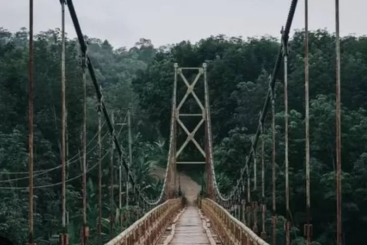 Punya Pemandangan Indah!Terowongan di Sumatera Utara Ini Dibangun Pada Masa Penjajahan Belanda/ Pexels