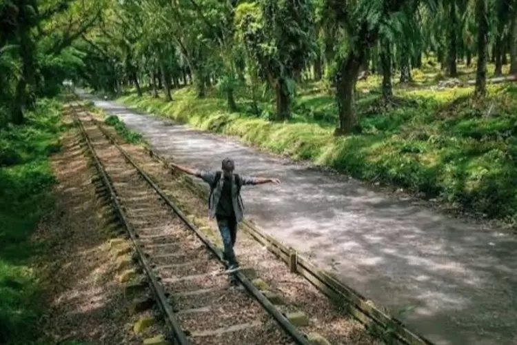 Rel Kereta Api di Sumatera Utara Ini Dibangun Jadi Jembatan Unik : Panjangnya 100 Meter!/ Facebook