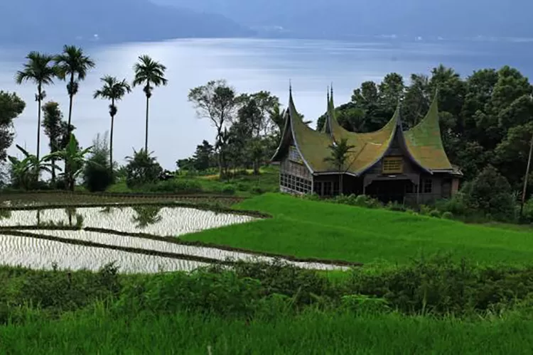 provinsi Sumatera Barat dengan wilayah seluas 42.012,89 km&sup2; ini berbatasan dengan empat provinsi, yakni Sumatera Utara, Riau, Jambi, dan Bengkulu.