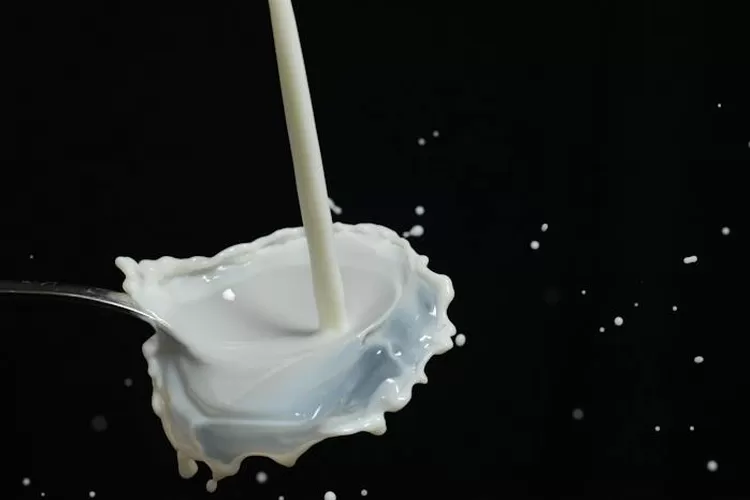 Prabowo janji susu gratis jika menang Pilpres 2024, begini angka konsumsi susu Indonesia (Ilustrasi/Pixabay)