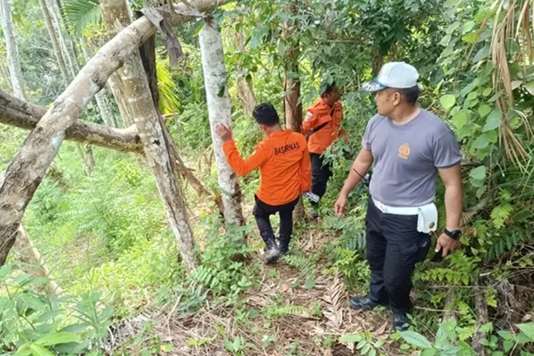 Proses pencarian terhadap seorang pemuda yang diduga hilang di hutan kawasan Bungus Teluk Kabung, Kota Padang, Sumatera Barat (Sumbar) dilanjutkan. (Doc. Basarnas)