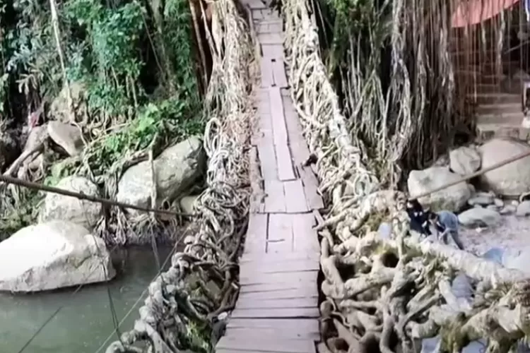 Jembatan akar di Sumatera Barat (YouTube Fery Palala)