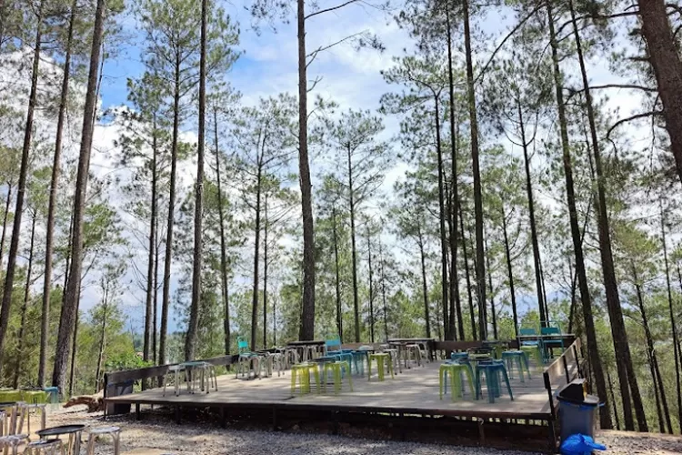 Hutan Wisata Forest Land Sikabu-kabu di Sumatera Barat  (Maps.google.com/@ArnofZahar)
