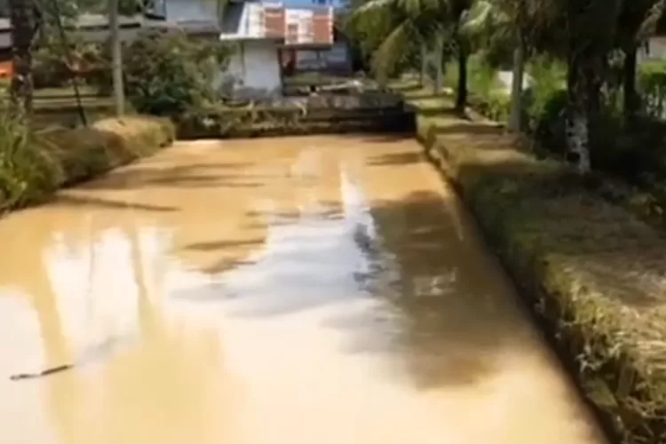Air kolam tambak yang keruh diduga akibat timbunan tanah proyek Jalan Tol Padang-Sicincin, pengusaha tambak disebutkan mengalami kerugian karenanya (YouTube Padang TV)