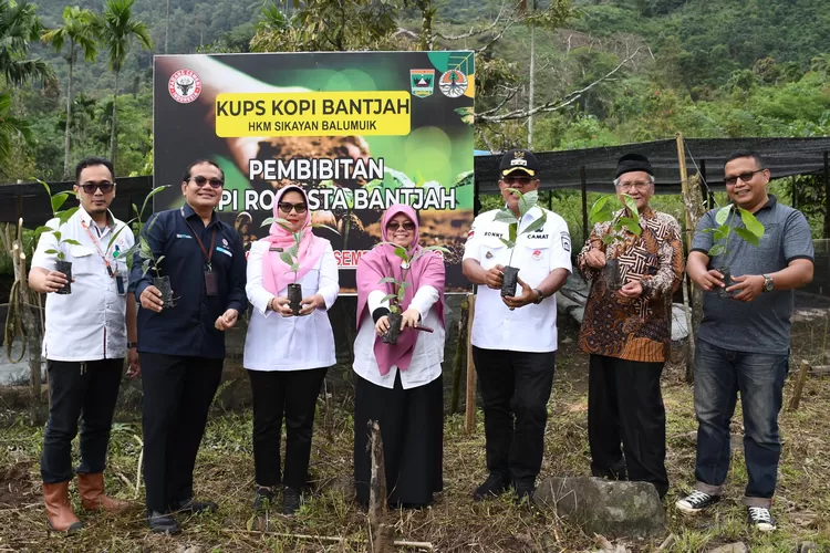 Komitmen Berdayakan HKm Sikayan Balumuik, Semen Padang Serahkan Bantuan 16.000 Bibit Kopi Robusta Bantjah (ist)