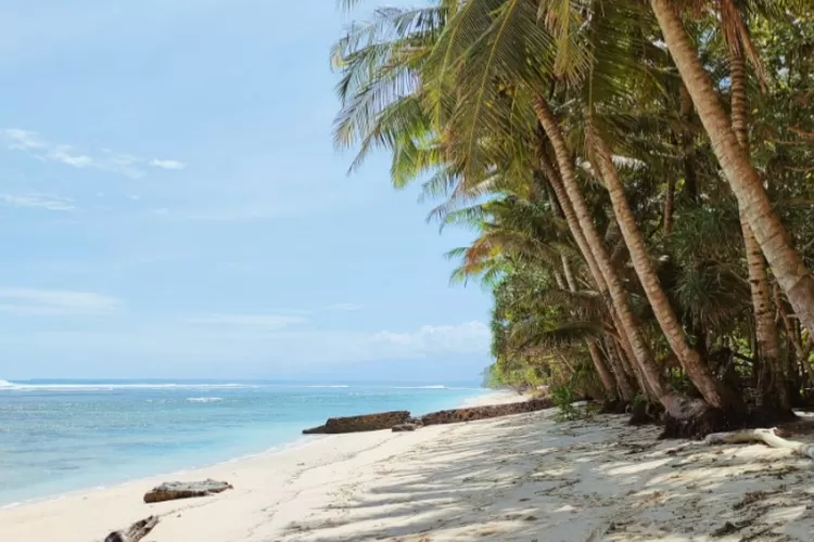 Pantai yang indah dan menawan di Sumatera Selatan (thesurfatlas.com)