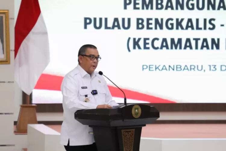 Gubernur Riau Edy Nasution (diskominfotik. bengkalis.go.id)