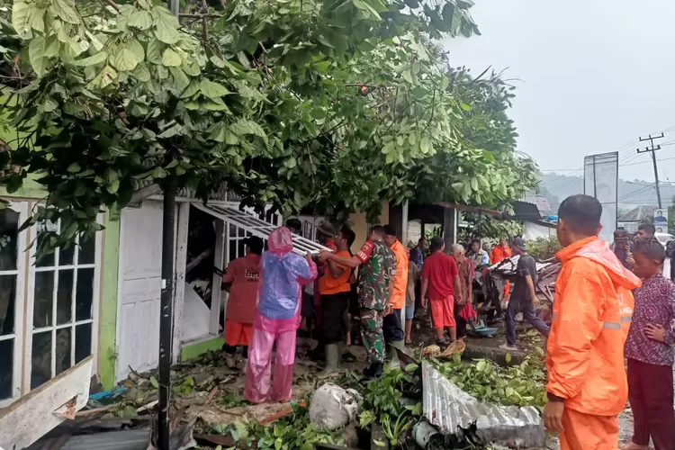 Hujan Disertai Angin Kencang, Pohon Besar Tumbang Timpa 4 Rumah di Padang (Ist)