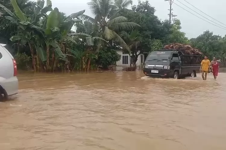 Banjir Landa Pesisir Selatan yang menyebakan 150 rumah warga terendam hingga mencapai setengah meter (harianhaluan.com/jefrimon)