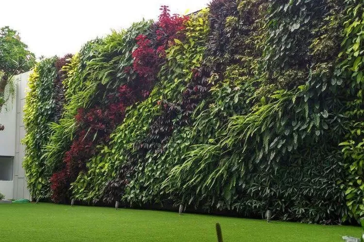 Tanaman hias terbaik vertical garden, bikin hunian tambah estetis dan asri  (intiland.com)