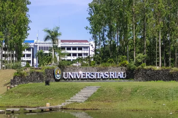 5 Deretan Program Studi di Universitas Riau Jadi Populer, Jumlah Peminat Terbanyak Jalur SNBP (https://unri.ac.id/)