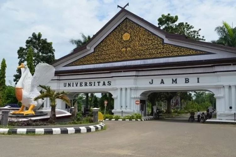 Mengenal 2 Program Studi Baru Di Universitas Jambi, Baru Dibuka Dan ...