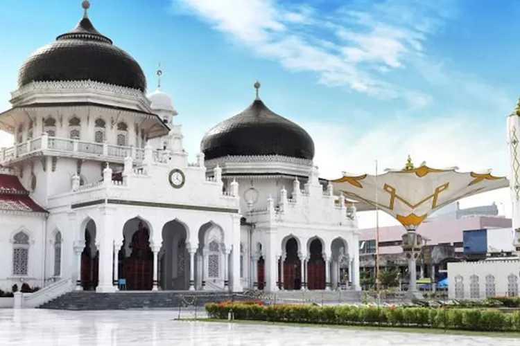 Kabupaten Pidie Jaya adalah salah satu kabupaten di Aceh, Indonesia. Ibu kotanya adalah Meureudu. Kabupaten ini dibentuk berdasarkan Undang-Undang Nomor 7 Tahun 2007 pada tanggal 2 Januari 2007, merupakan kabupaten pemekaran dari Kabupaten Pidie.