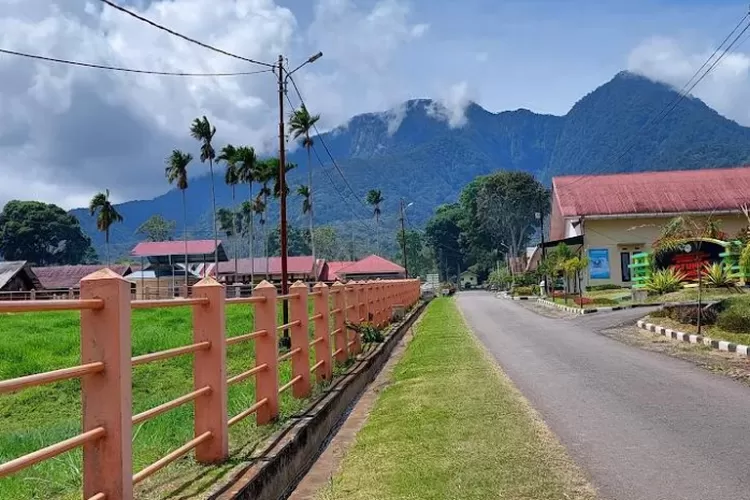 Padang Mangateh, Destinasi Sumatera Barat yang Punya Pesona New Zealand (Maps.google.com/@EvaMery)