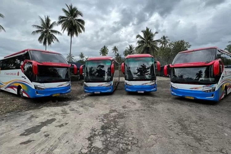 Jadwal dan Harga Tiket Bus Murah 2024 Terbaru PO NPM Jurusan Bandung-Jakarta-Padang Hanya Rp600 Ribuan