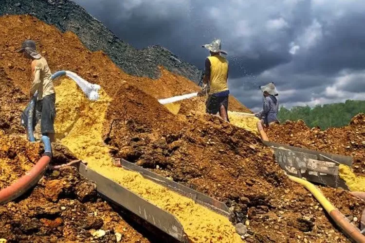 Lokasi Ladang Harta Karun Emas dan Perak di Kalimantan Utara Letaknya Sekitar 8 Jam Perjalanan dari Kota Tarakan Memiliki Nilai Investasi Rp873 Miliar