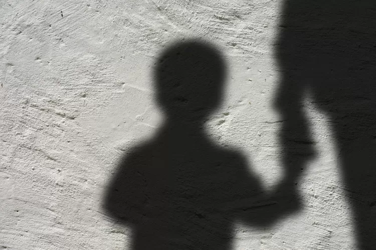 Indonesia Darurat! Kasus Kekerasan Anak Meningkat pada 2024, Faktor Ini yang Jadi Penyebab (pixabay.com)