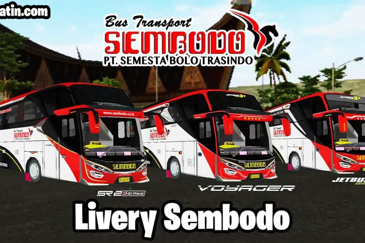 Bus Sembodo memiliki beberapa layanan yang cukup populer adalah layanan Bus AKAP, dimana jasa ini memiliki kelas mewah Royal dan Super Royal. Untuk trayek yang dilalui oleh PO Sembodo adalah mulai dari Jakarta ke beberapa kota yang ada di Sumatera, contohnya mulai dari Bukittinggi, Jambi, Padang 