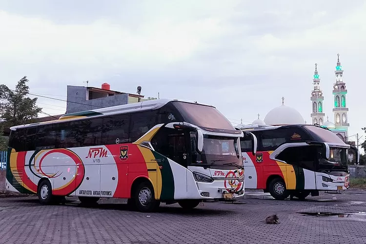 Perusahaan bus NPM ini didirikan oleh Bahauddin Sutan Barbangso Nan Kuniang ini berbasis di Kota Padang Panjang, Sumatera Barat. Kini perusahaan keluarga tersebut dikelola oleh generasi ketiga yaitu Angga Vircansa Chairul.