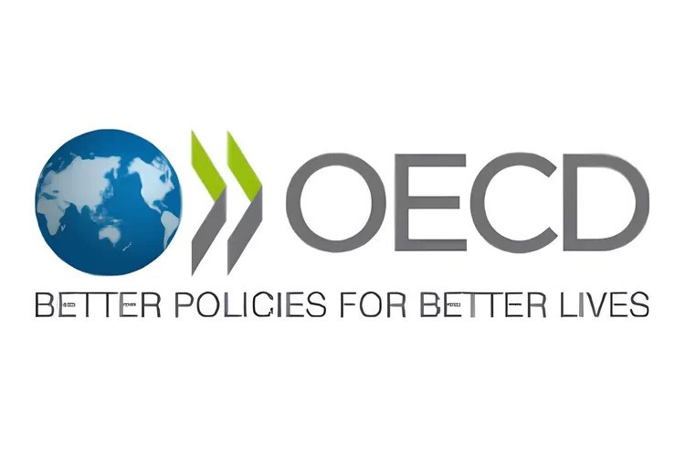 Indonesia bantah lakukan normalisasi hubungan Israel Demi masuk OECD (OECD)