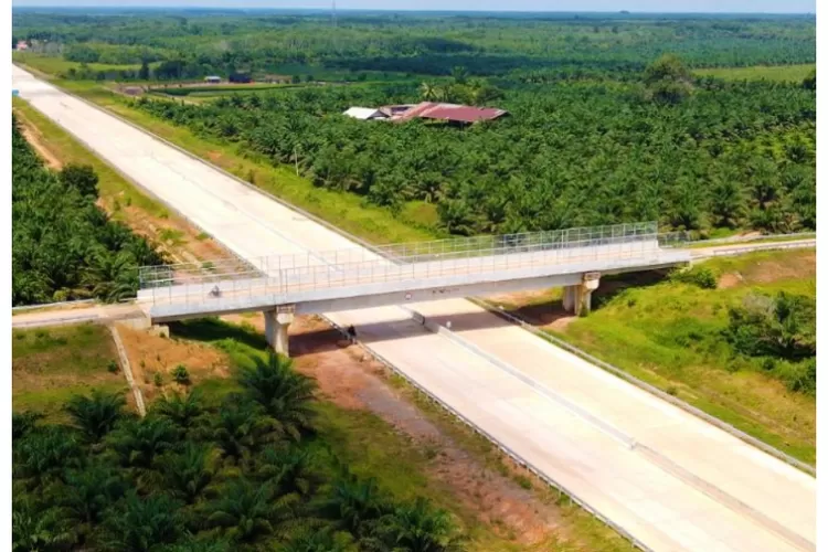 Sumatera Selatan Makin Jaya! Konstruksi Jalan Tol Kapal Betung Tahap 2 Ditargetkan Rampung Tahun Ini, Begini Progresnya (bpjt.pu.go.id)