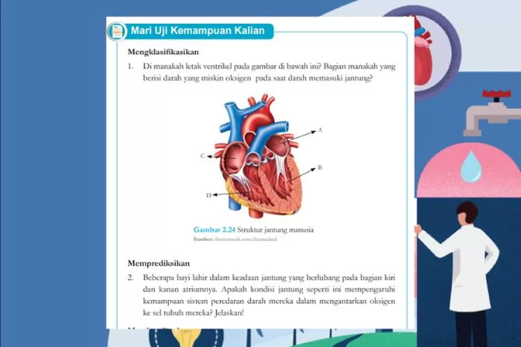 IPA kelas 8 halaman 64 Uji Kemampuan Kurikulum Merdeka: Sistem peredaran darah manusia dan jantung